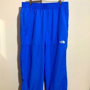The north face blue pants